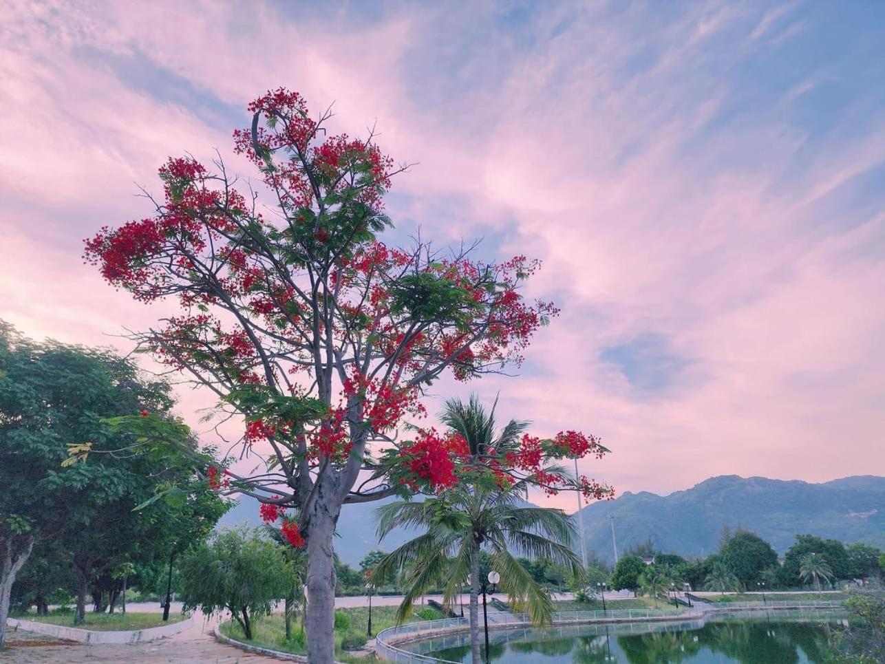 Moc Homestay- Near Bai Dai * Cam Lam