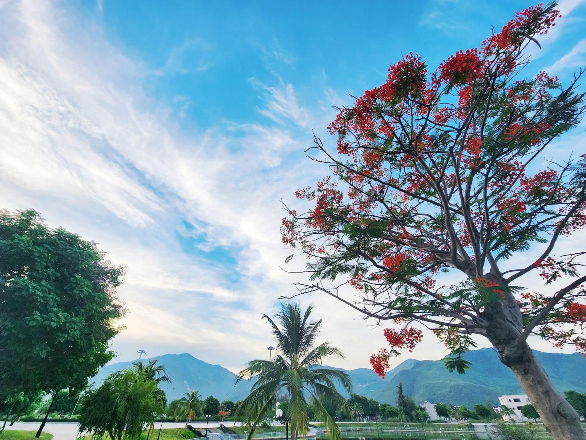 Moc Homestay- Near Bai Dai Cam Lam