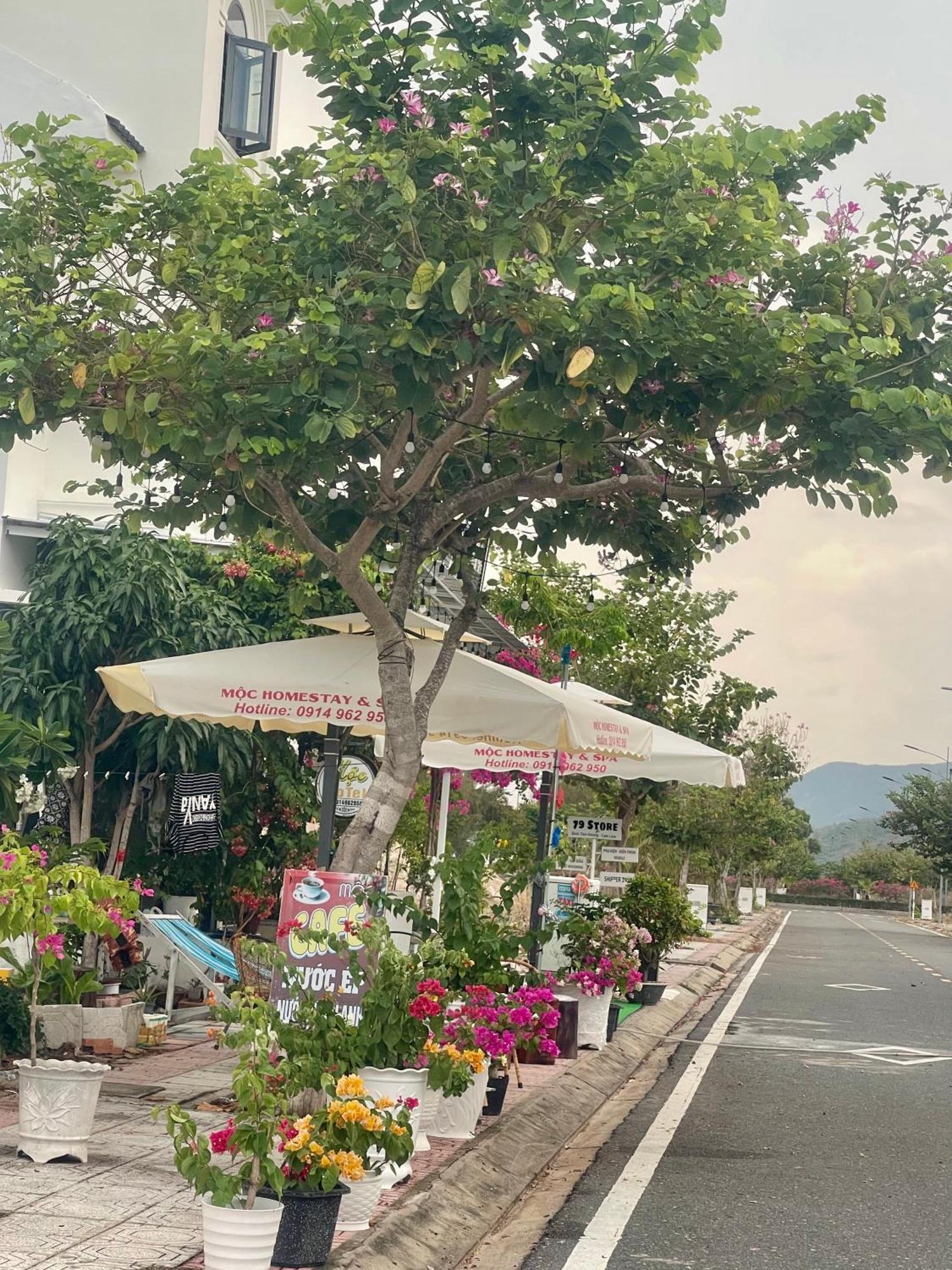 Moc Homestay- Near Bai Dai *